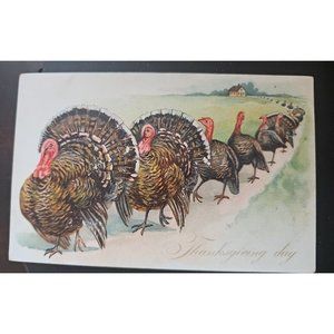 Vtg Raphael Tuck Post Card Thanksgiving Day Turkey Preowned With Writing